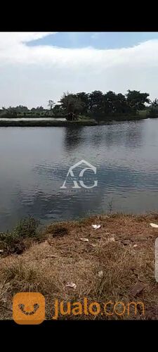 Tanah/Tambak Di Gresik