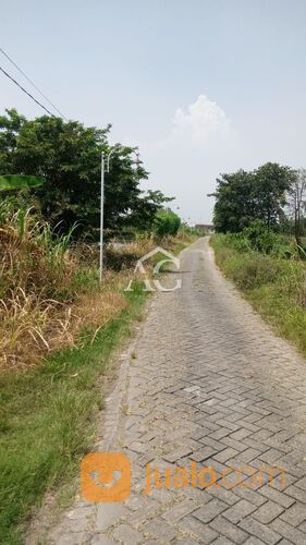 Tanah/Tambak Di Gresik