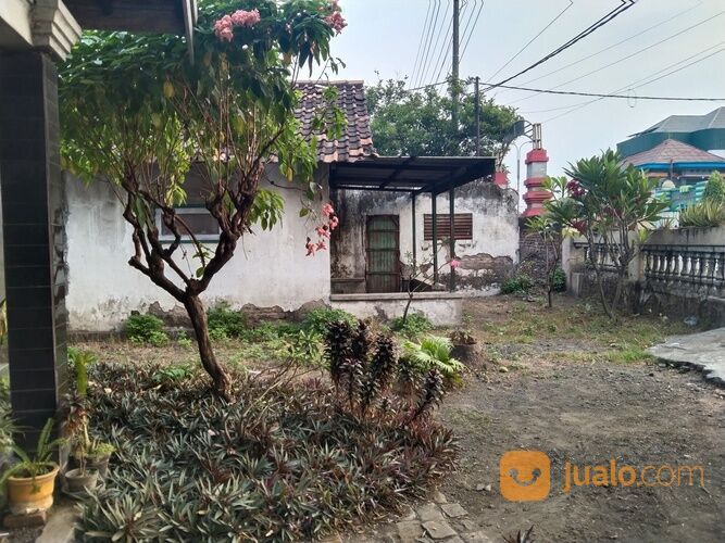 COCOK UNTUK ALFAMART & INDOMARET Rumah Second Brangkal Mojokerto Luas 897 Meter NEGO SAMPAI DEAL