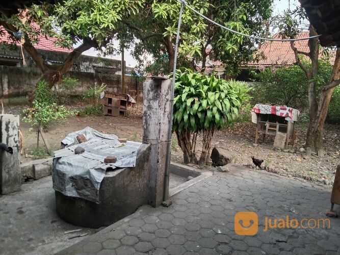 COCOK UNTUK ALFAMART & INDOMARET Rumah Second Brangkal Mojokerto Luas 897 Meter NEGO SAMPAI DEAL