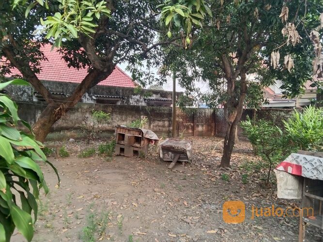 COCOK UNTUK ALFAMART & INDOMARET Rumah Second Brangkal Mojokerto Luas 897 Meter NEGO SAMPAI DEAL