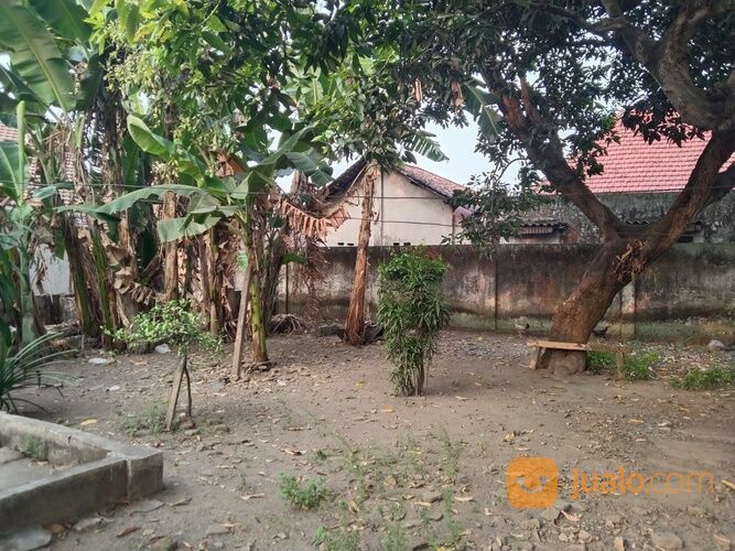 COCOK UNTUK ALFAMART & INDOMARET Rumah Second Brangkal Mojokerto Luas 897 Meter NEGO SAMPAI DEAL