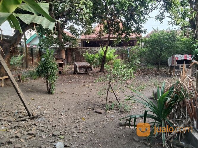 COCOK UNTUK ALFAMART & INDOMARET Rumah Second Brangkal Mojokerto Luas 897 Meter NEGO SAMPAI DEAL