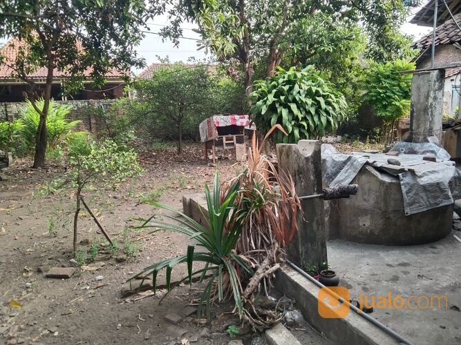 COCOK UNTUK ALFAMART & INDOMARET Rumah Second Brangkal Mojokerto Luas 897 Meter NEGO SAMPAI DEAL