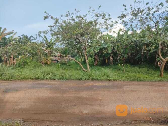 Tanah Kosong Lokasi Talang Jambe dekat Pesantren Aulia Cendekia, Belakang Kantor Lurah