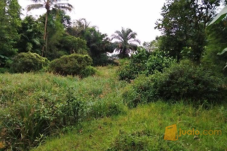 Tanah Pinggir Jalan Tajur Halang Dekat Akses Jalur Pemda Cibinong