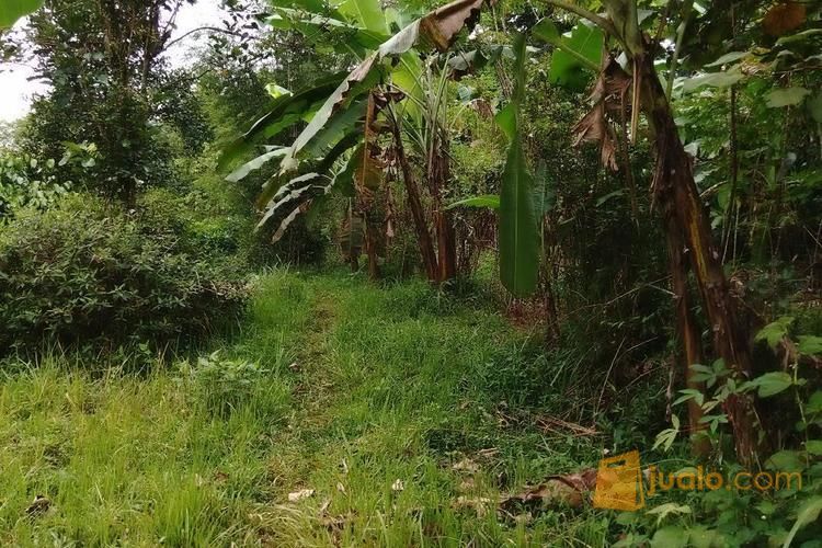 Tanah Pinggir Jalan Tajur Halang Dekat Akses Jalur Pemda Cibinong