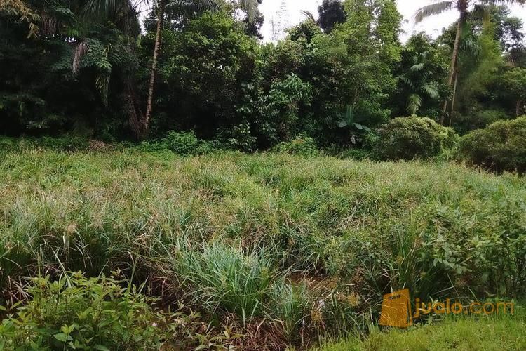 Tanah Pinggir Jalan Tajur Halang Dekat Akses Jalur Pemda Cibinong