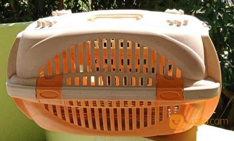 Box Kotak Kandang Kucing Bahan Plastik