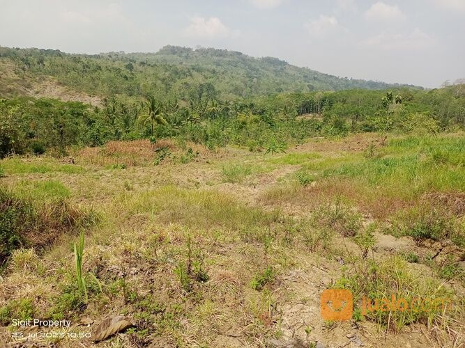 TANAH MURAH 2 HEKTAR DI WONOYOSO PRINGAPUS KAB. SEMARANG