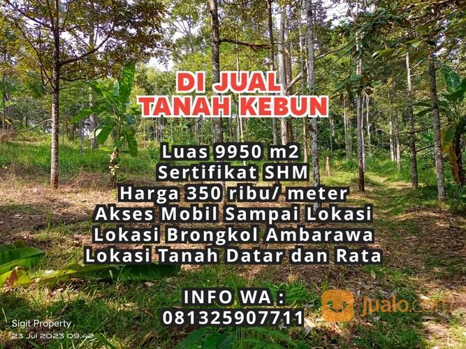 Tanah Kebun Murah di Ambarawa Kab. Semarang