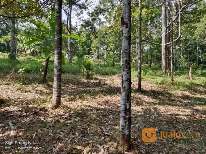 Tanah Kebun Murah di Ambarawa Kab. Semarang