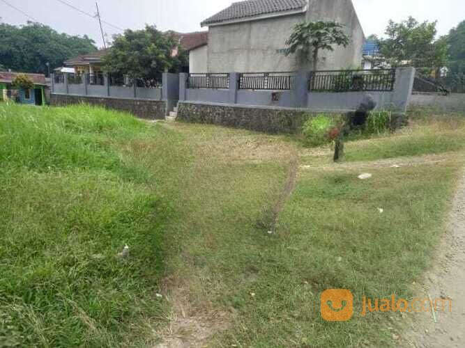 Tanah SHM Tepi Jalan Area Gunung Sindur 3 Km Pasar Prumpung