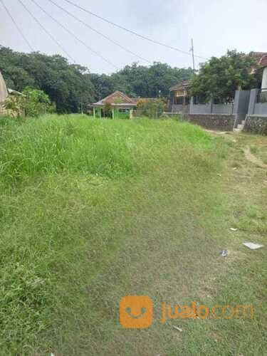 Tanah SHM Tepi Jalan Area Gunung Sindur 3 Km Pasar Prumpung