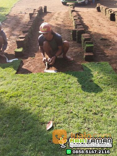 Harga terbaru rumput lapangan sepakbola Magelang