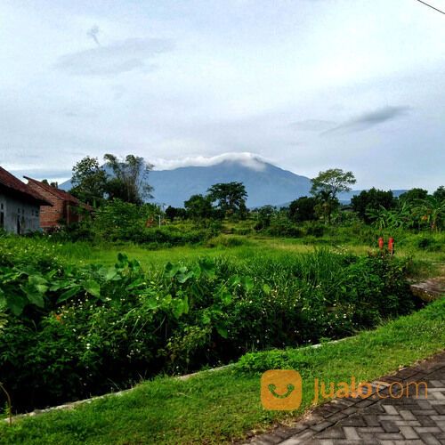 Nirwana di Pegunungan: Tanah Kavling Villa Sumbersuko Asri Menanti Anda.