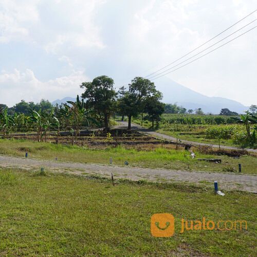 Nirwana di Pegunungan: Tanah Kavling Villa Sumbersuko Asri Menanti Anda.