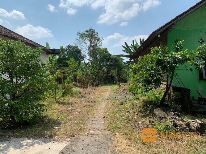 MURAH 900 RIBU-AN/M2 TANAH PUCANGAN 3 MENIT SMPN 3 KARTASURA