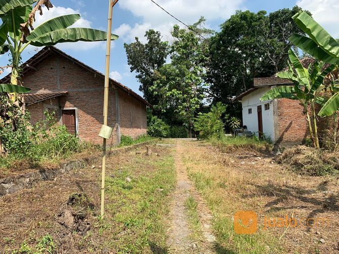 MURAH 900 RIBU-AN/M2 TANAH PUCANGAN 3 MENIT SMPN 3 KARTASURA