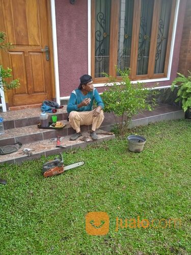 Jasa potong rumput jogja
