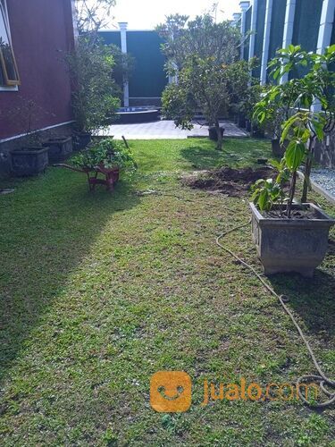 Jasa potong rumput jogja