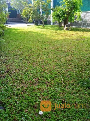 Jasa potong rumput jogja