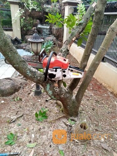 Tukang tebang pohon Bekasi wa 085641290679