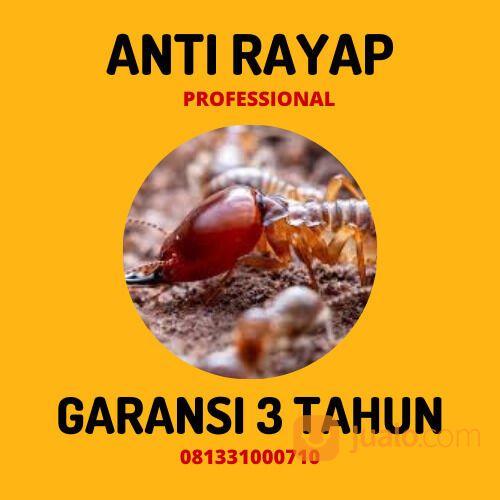 Anti Rayap Sembung Kapas Bojonegoro