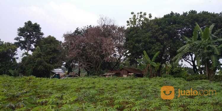 Kavling Hook 100 Jutaan Dekat Pasar Ciluar Bogor