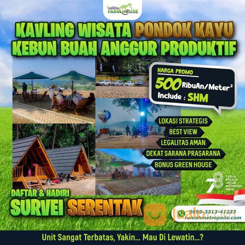 Kehidupan Asri dan Buah Anggur: Investasi di Tanah Kavling Harmoni Farmhouse