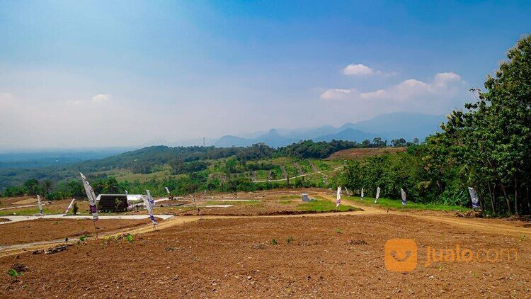 Kehidupan Asri dan Buah Anggur: Investasi di Tanah Kavling Harmoni Farmhouse