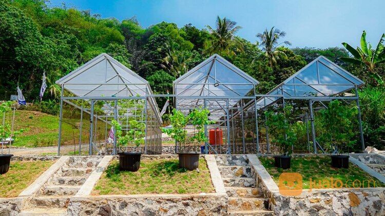 Kehidupan Asri dan Buah Anggur: Investasi di Tanah Kavling Harmoni Farmhouse