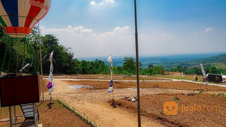 Kehidupan Asri dan Buah Anggur: Investasi di Tanah Kavling Harmoni Farmhouse