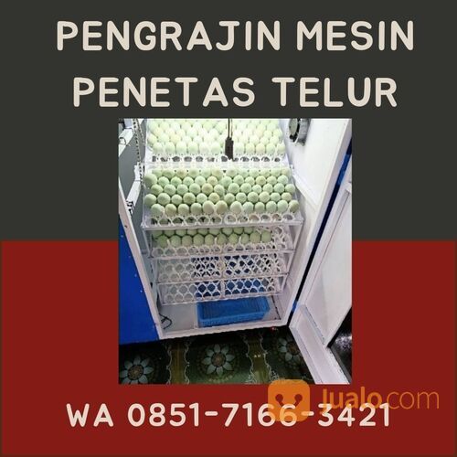 Alat Penetas Telur Burung Merpati Lhoksukon Aceh Utara