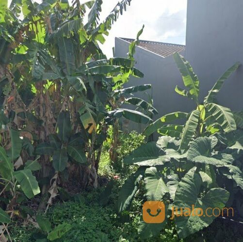 Tanah 1 are, Jl. Raya Muding Gg. Parisudha Kerobokan Kaja Kuta Utara