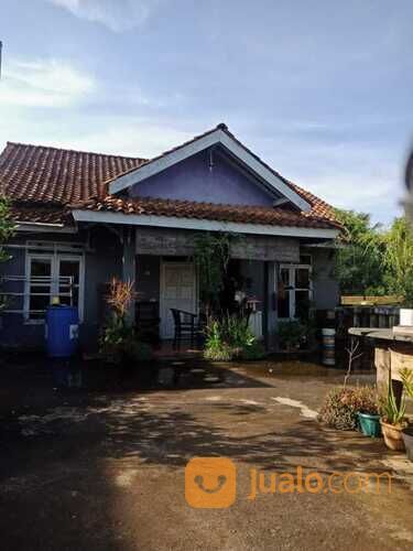 RUMAH DAN KOS-KOSAN DI JALAN RAYA MLONGGO-JEPARA, JEPARA