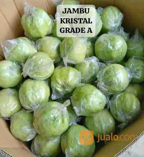Jambu kristal @26,000/kg
