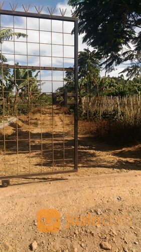 Kebun Kopi di daerah Bukit Senyum Cipada Lembang Padalarang