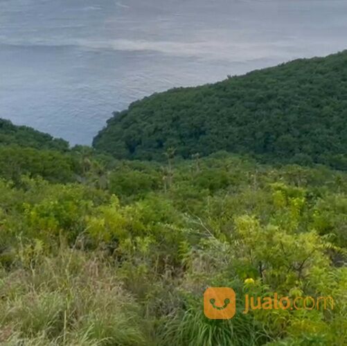 Tanah 2,1 Ha. Jl. Rahwana Beach FULL VIEW Pantai Joshua Pejukutan Nusa Penida Klungkung