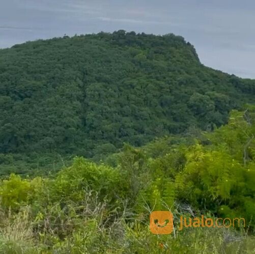 Tanah 2,1 Ha. Jl. Rahwana Beach FULL VIEW Pantai Joshua Pejukutan Nusa Penida Klungkung