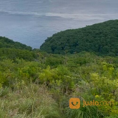 Tanah 2,1 Ha. Jl. Rahwana Beach FULL VIEW Pantai Joshua Pejukutan Nusa Penida Klungkung
