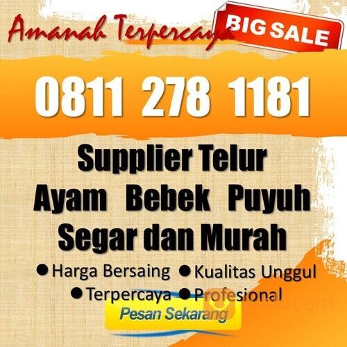 PROMO ✔ WA 0811-278-1181 Supplier Telur Ayam Negeri Berkualitas Bojongmangu, Kab. Bekasi
