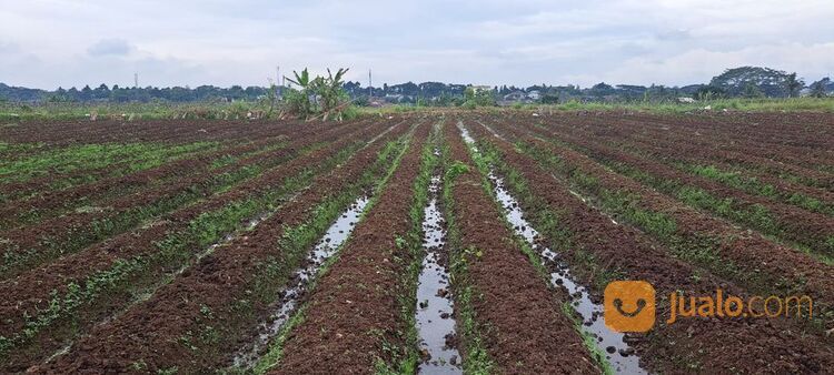 Tanah Kavling Dekat Tol Bogor Serpong. Hanya 1 Jutaan/meter