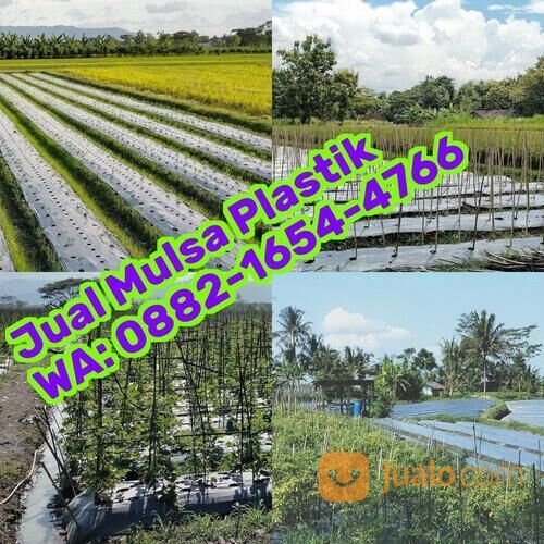 ౦882-1Ϭ5Ꮞ-Ꮞ7ϬϬ (WA) Harga Mulsa Plastik Jepara Manfaat Mulsa Plastik
