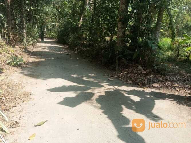 Tanah pekarangan murah Dompol,Kemalang