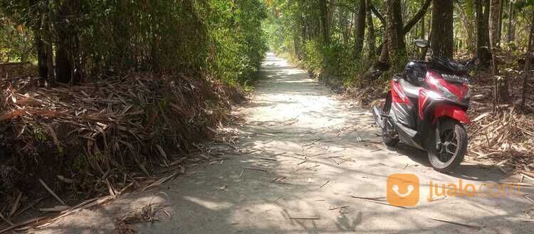 Tanah pekarangan murah Dompol,Kemalang