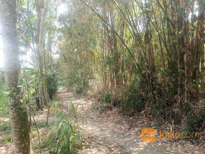 Tanah pekarangan murah Dompol,Kemalang