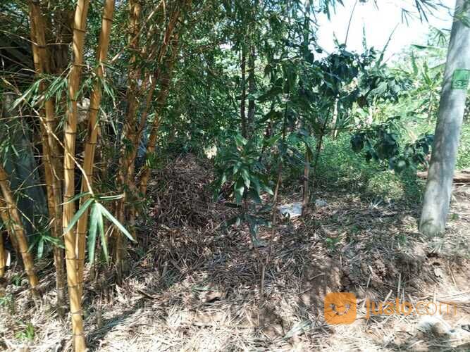 Tanah Di Banaran dekat Swalayan Goori