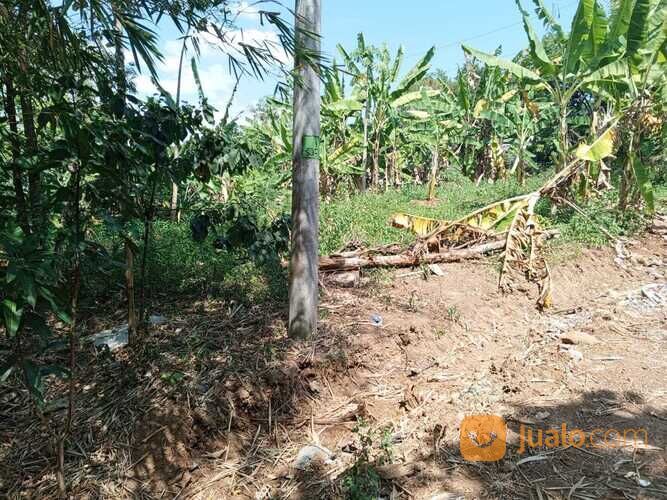 Tanah Di Banaran dekat Swalayan Goori