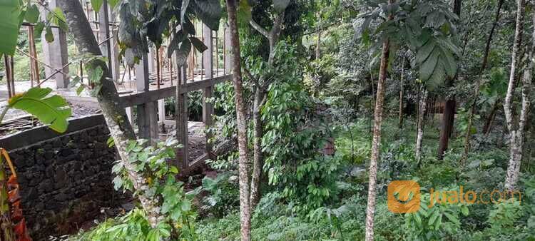 Tanah Pongangan Gunungpati Kota Semarang Dekat SMP SMA Semesta